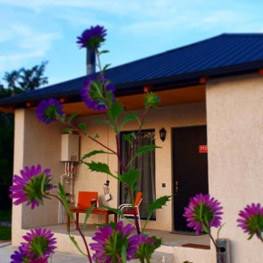 Guest house 